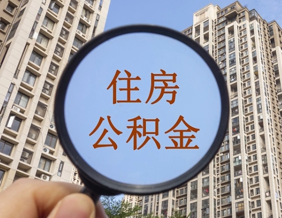 乐平退休后查不到公积金明细了吗（退休后公积金查询不到原因）